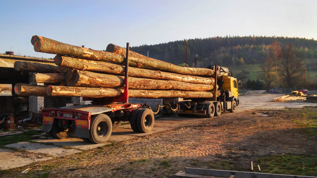 transport drewna w województwie podkarpackim